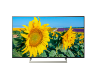 Sony KD49XF8096 UHD - 1389435 - zdjęcie 1